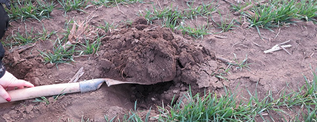 FOR CROP RESIDUE DECOMPOSITION | Agrounik